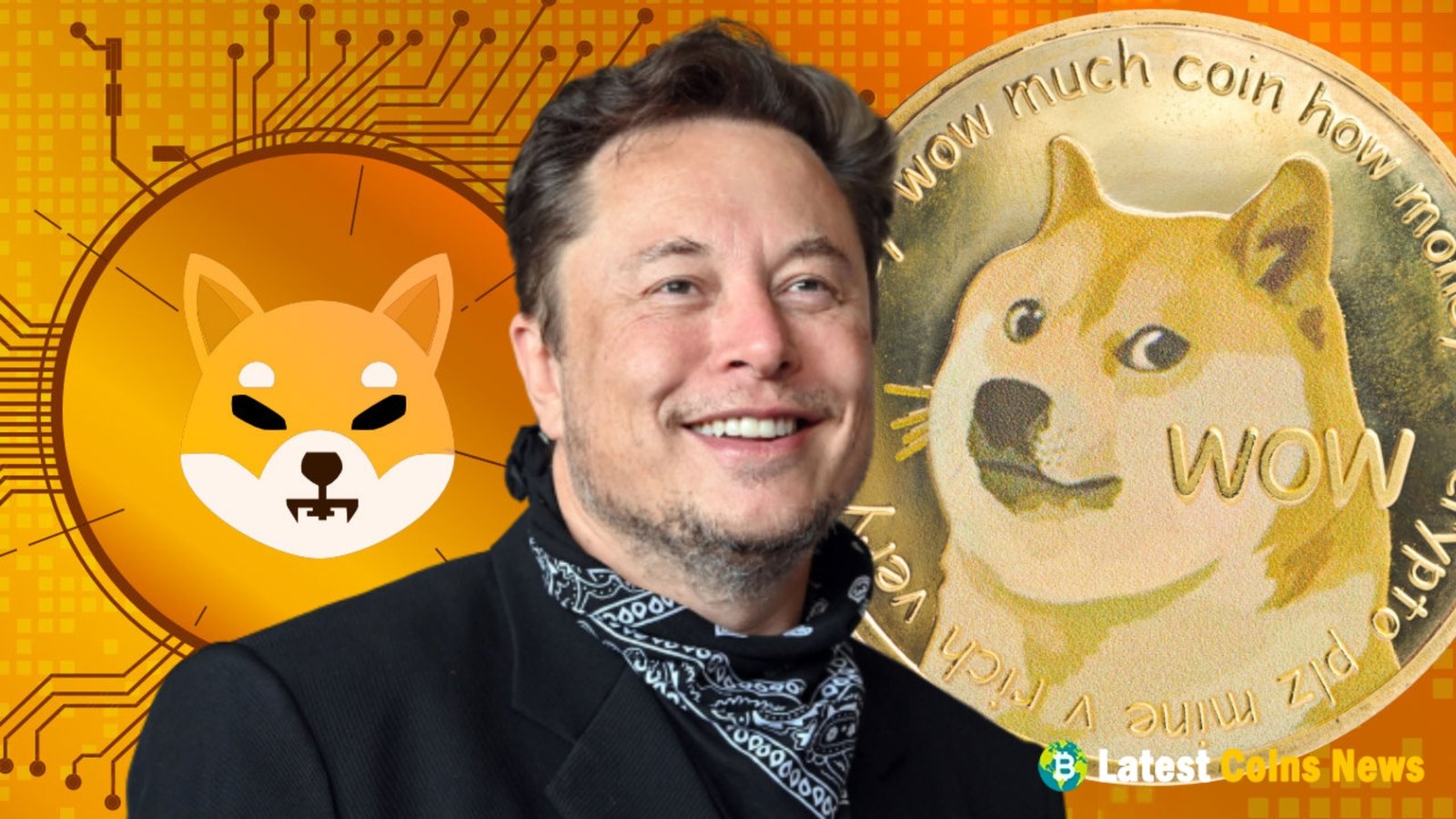 Elon Musk or Shiba Inu's Shytoshi Kusama?