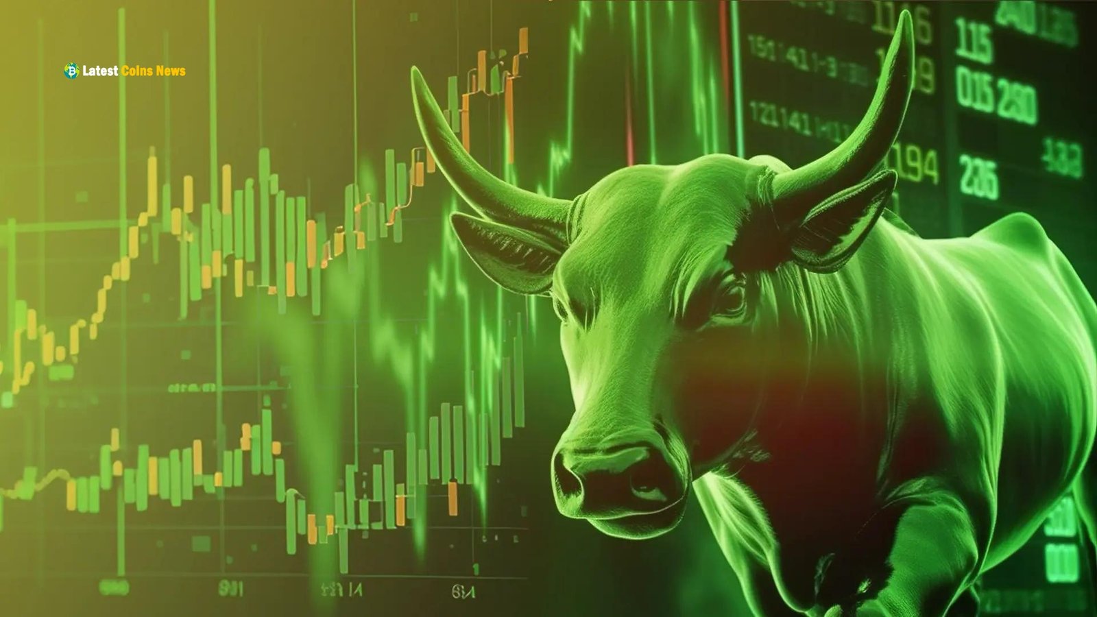 Investment Strategies for the Next Bull Run