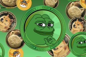 Meme Coin Failures