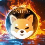 How Much Shiba Inu Has Been Burned