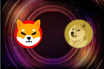 Shib-vs-doge