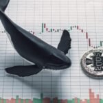 Crypto Whale Makes