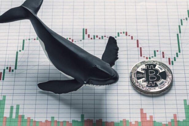 Crypto Whale Makes