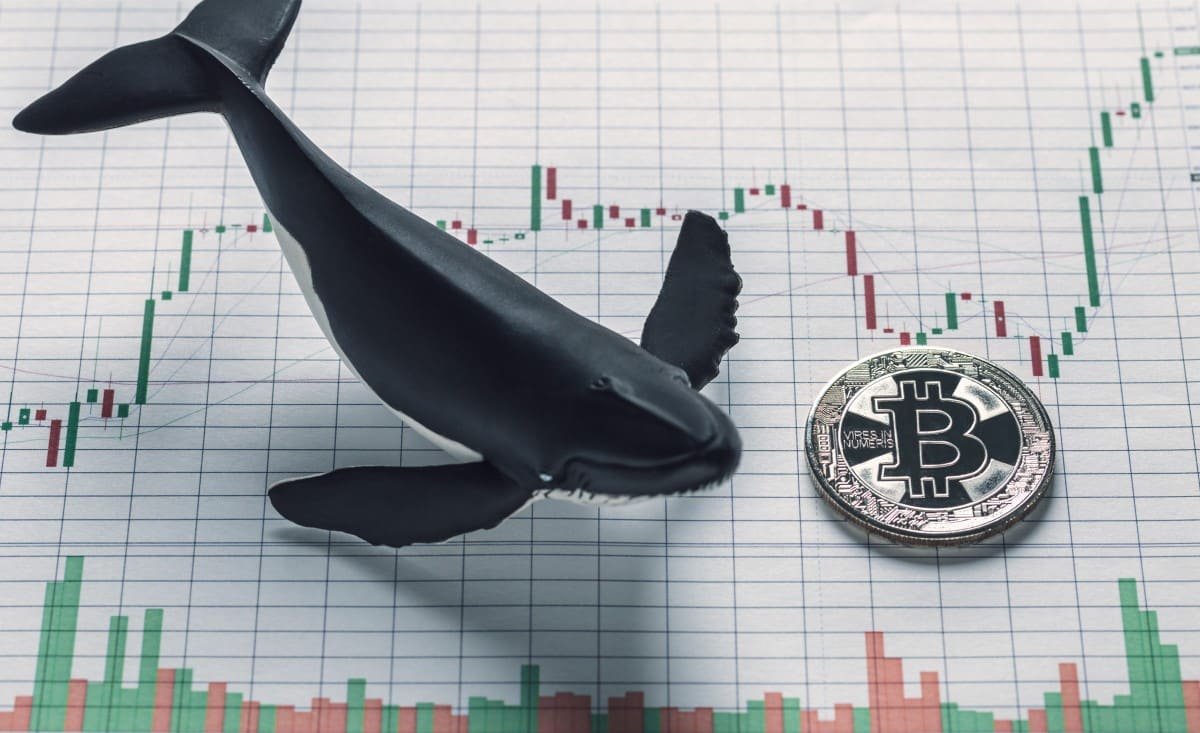 Crypto Whale Makes