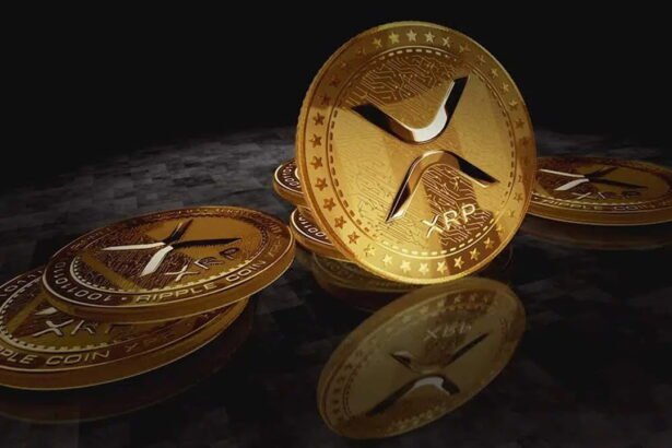 $95 Million XRP Mystery