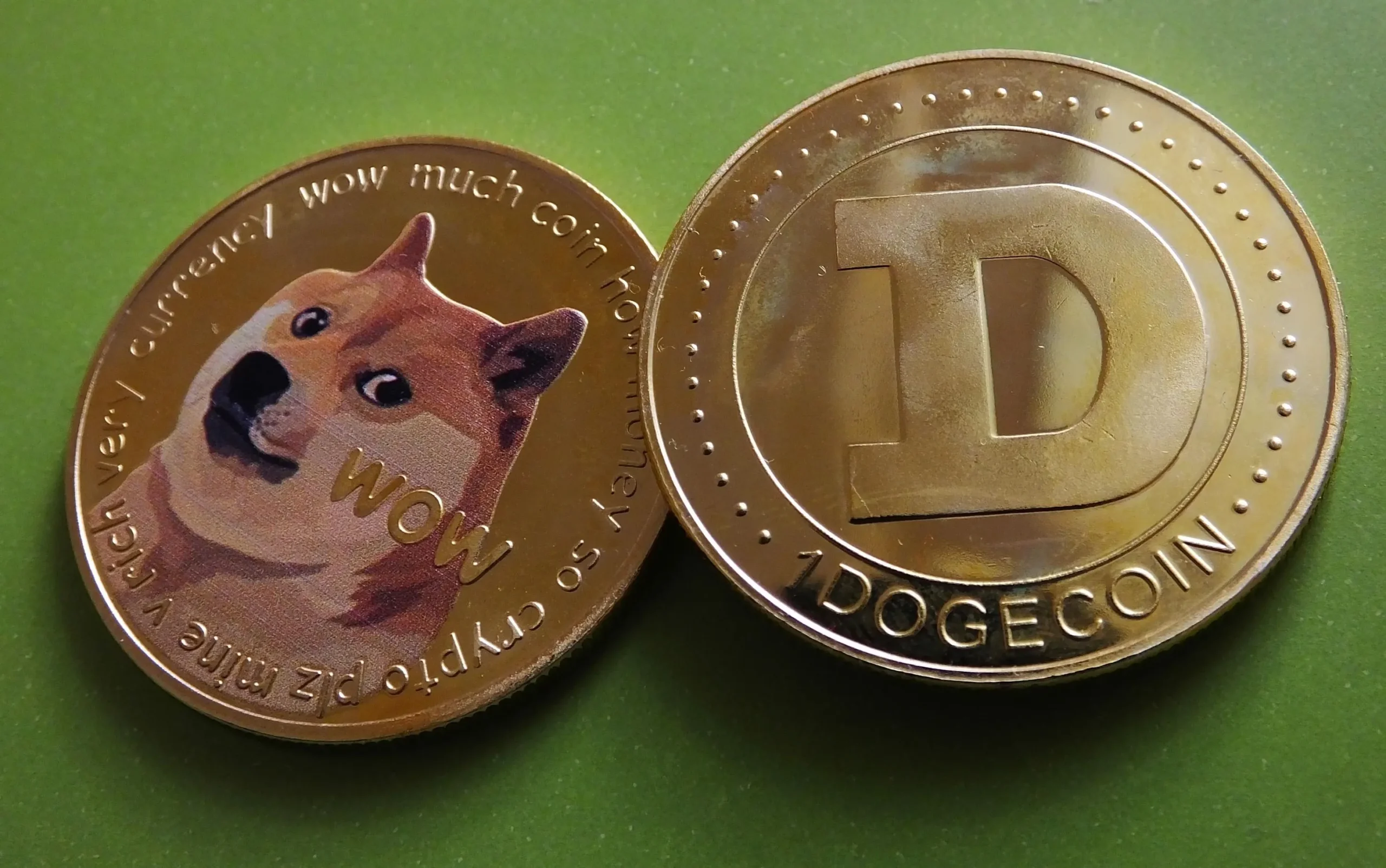DOGS Meme Coin
