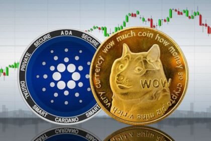 Ethereum, Dogecoin, Cardano & XRP See Growth