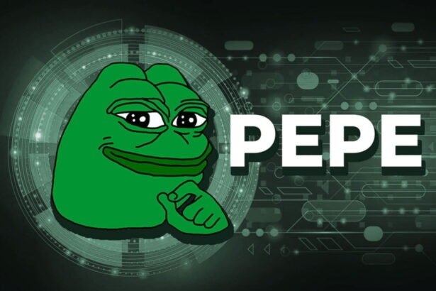 Pepe Coin Whale Turns