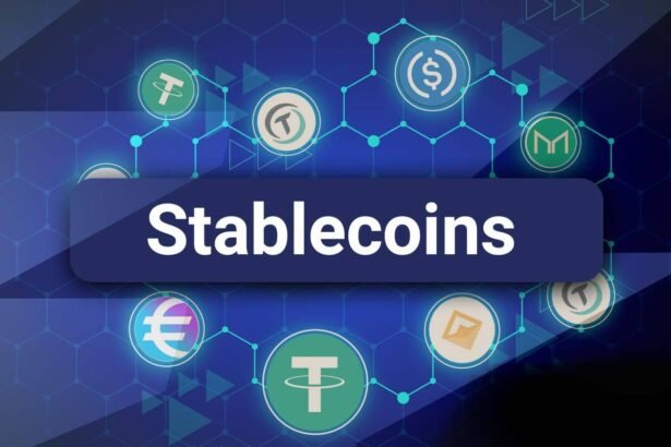 Role of Largest Stablecoin