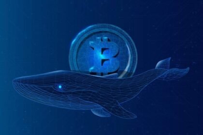 Whale Interest in Toncoin