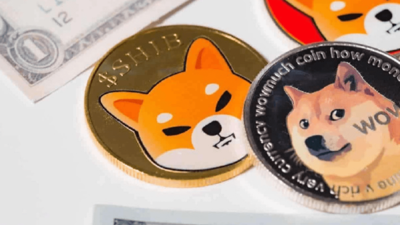 1,000k Shiba Inu