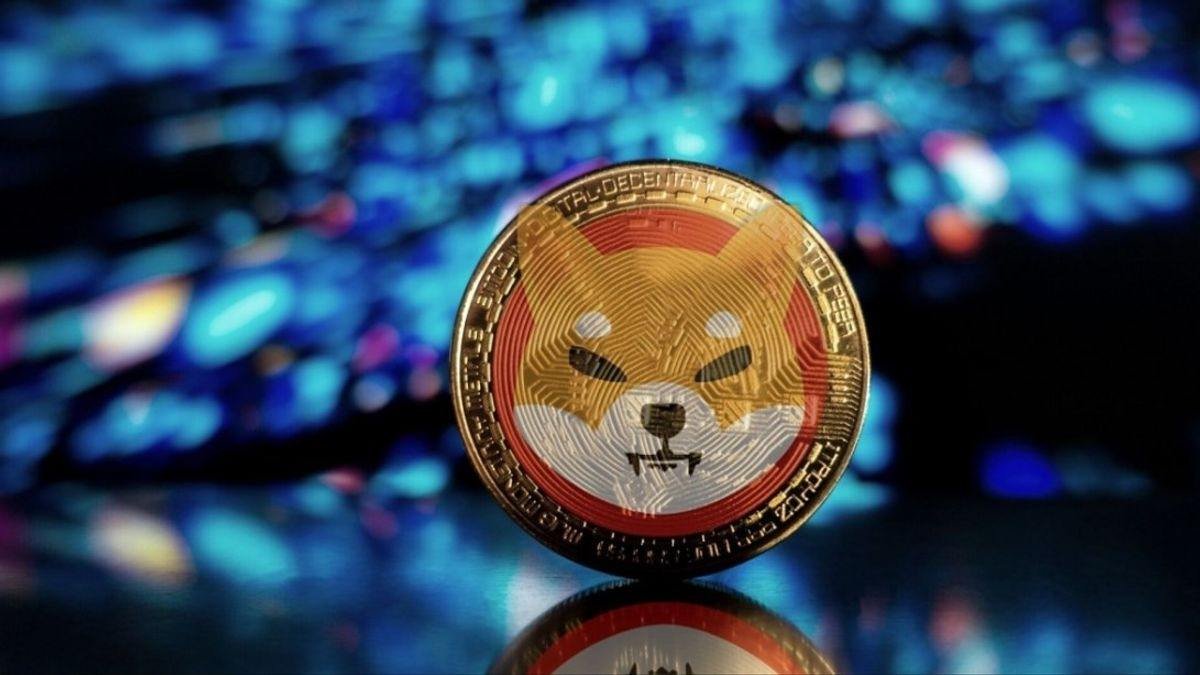Burn Initiatives by Shiba Inu
