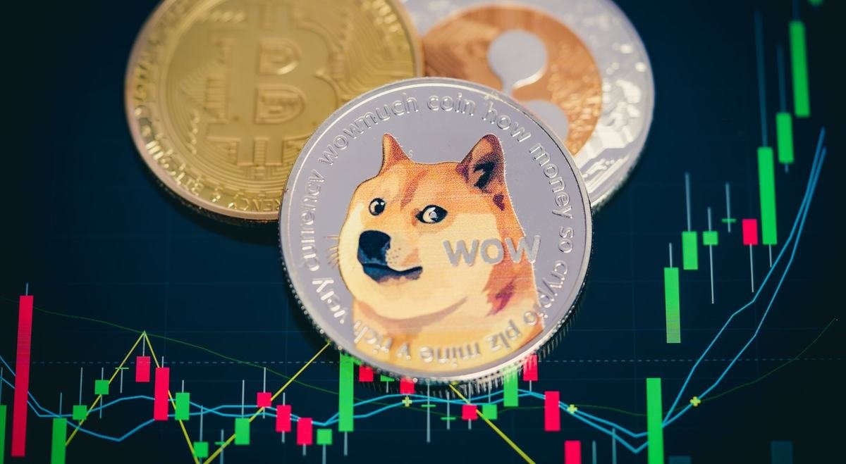 DOGE The Most Social