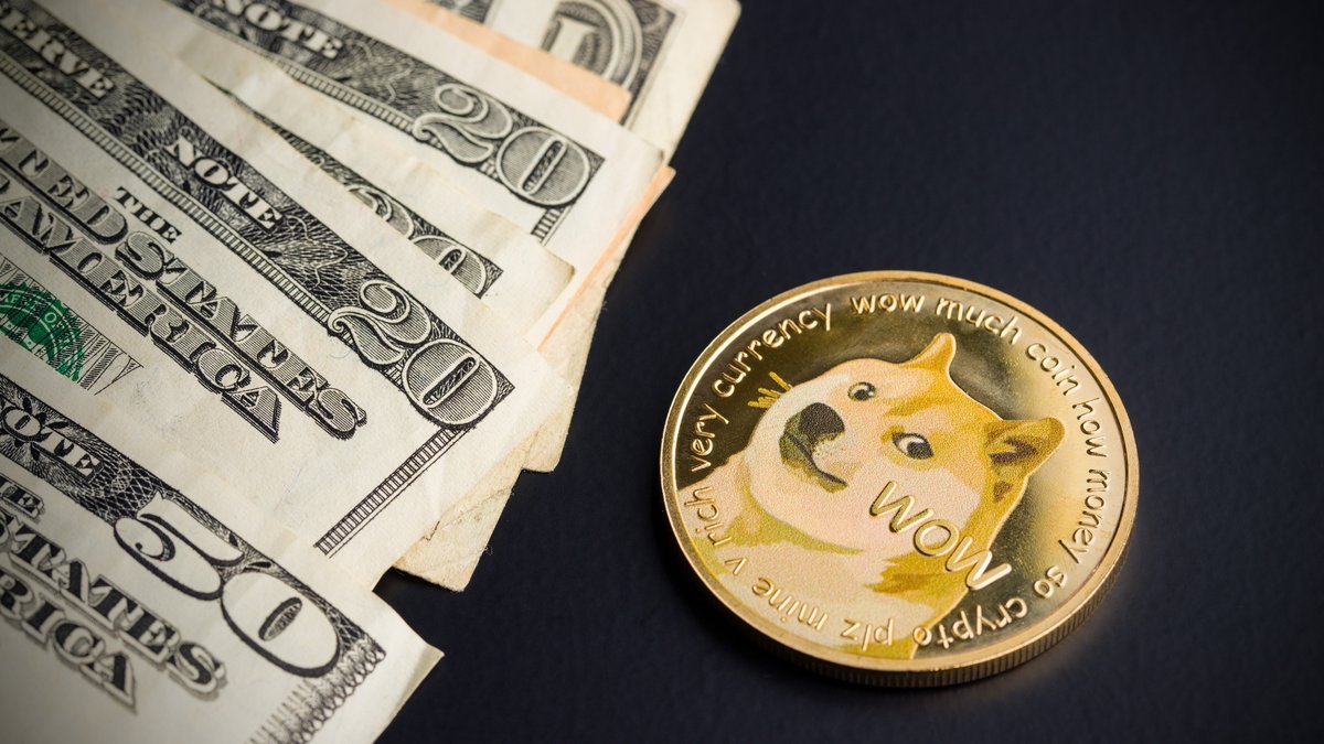 Dogecoin Whales as Big