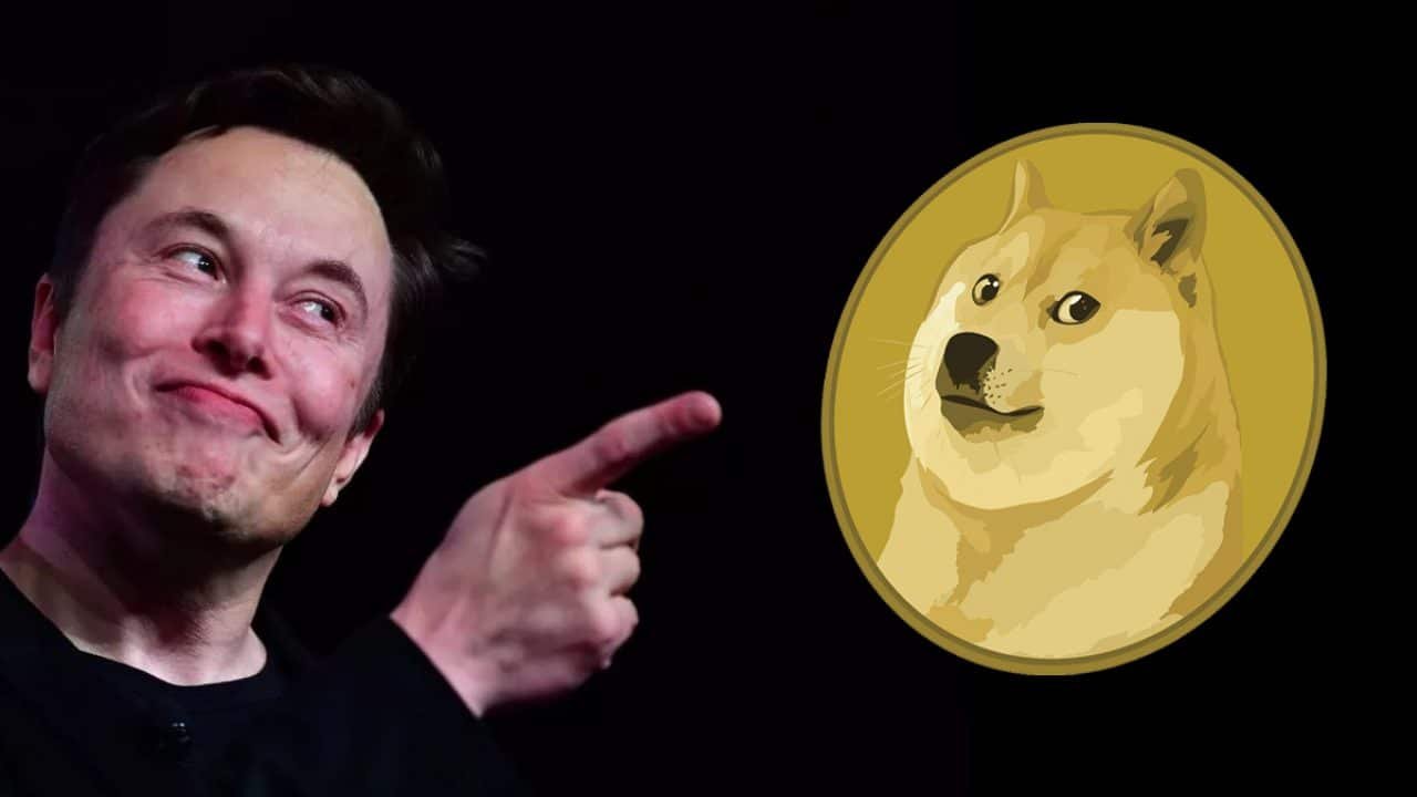 Efficiency (DOGE)
