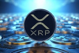 Need to Hold XRP