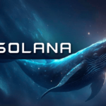 Solana Whale Stakes