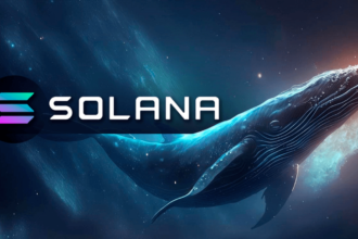 Solana Whale Stakes