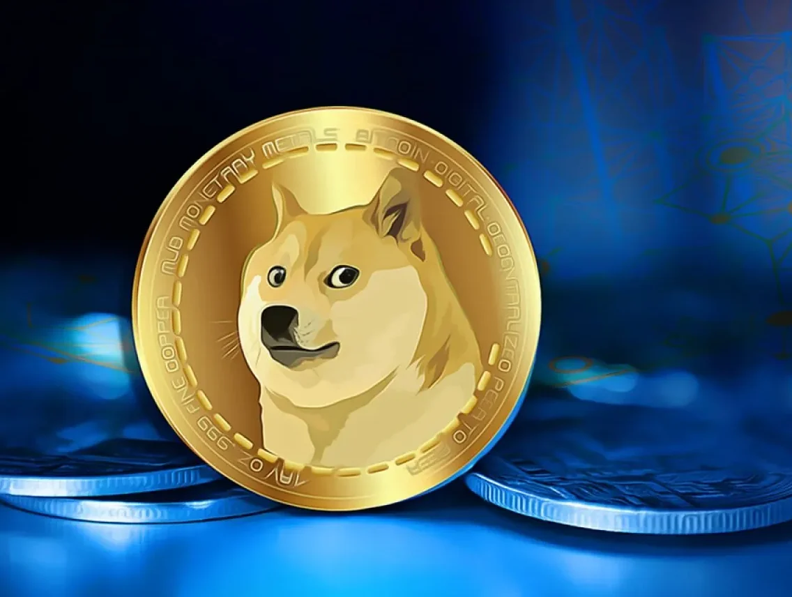 Dogecoin Risks Rewards