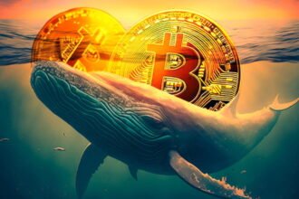 Bitcoin Whales' Impact