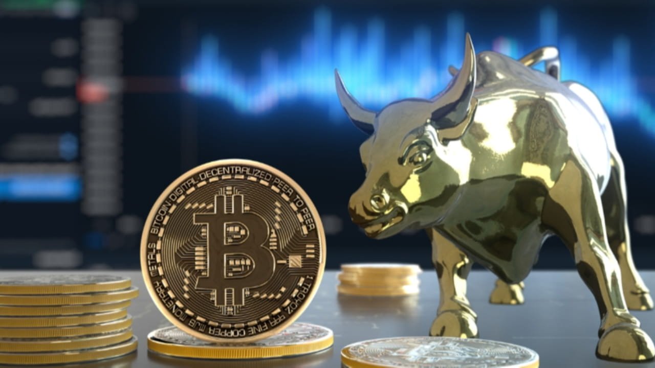 Bull Coin: A Promising