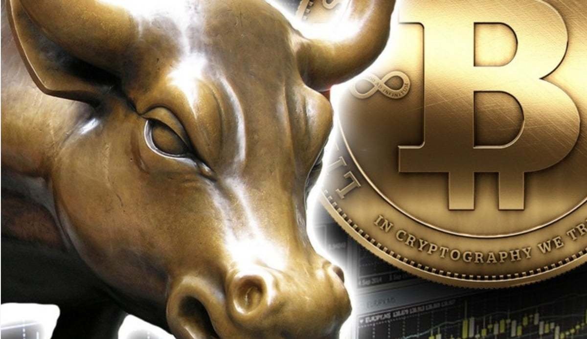 Risks and Challenges of Bull Coin