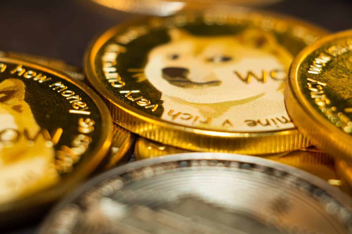 The Evolution and Economics of Meme Coins