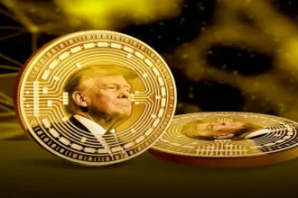 Trump Meme Coin Crash