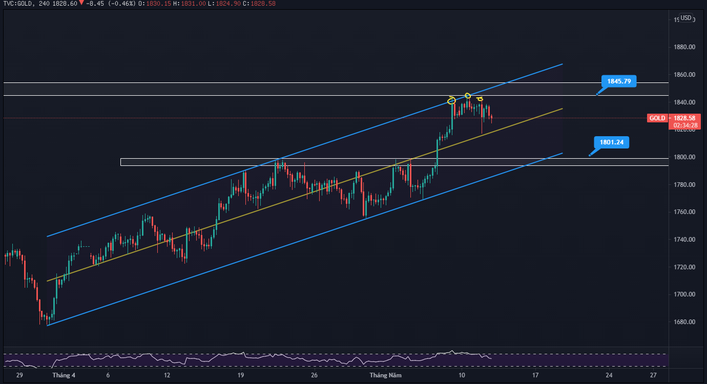 USDT Dominance Bullish Indicator