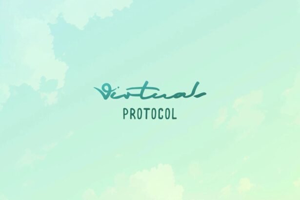 Virtual Protocol Coin