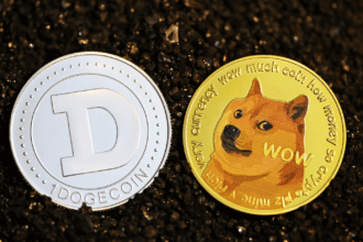 BlockDAG vs Meme Coins