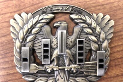 Army Eagle 250 Coin