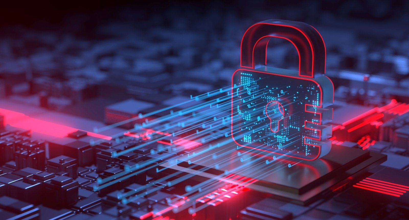 Secure Storage Solutions for Your SHIB Investment