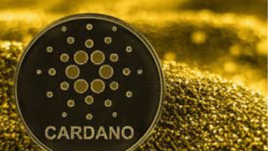Cardano news guide