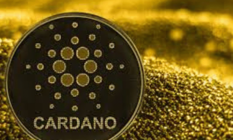 Cardano news guide