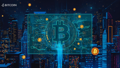 Discover the Most Powerful Bitcoin Cash Exchange Benefits