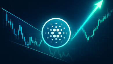 Cardano Volume Surges Amid