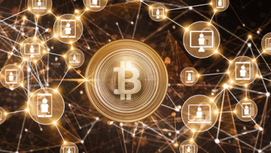 Cryptocurrency's Digital Domain