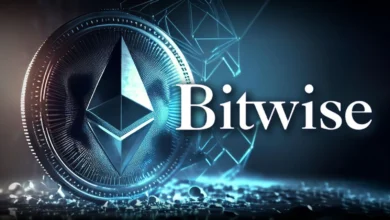 Bitwise Chainlink ETF CLNK