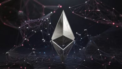 Ethereum & Base Networks