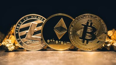 New Crypto Coins Investors