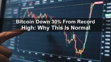 Bitcoin Down 30% From Record High Why This Is Normal