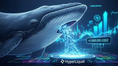 Whale Pours 6M USDC into HyperLiquid, Goes Long Crypto