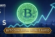 Bitcoin Bull Run Saved Remove 8 Days & Dollar's Fall Impact
