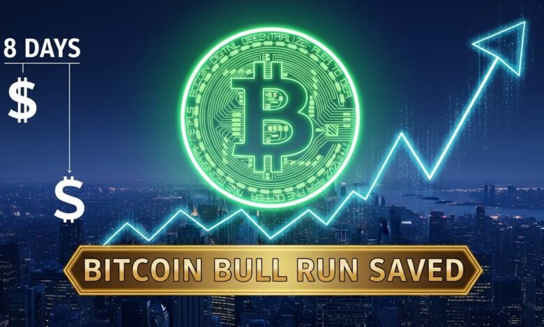 Bitcoin Bull Run Saved Remove 8 Days & Dollar's Fall Impact