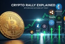 Bitcoin and Altcoins Up Today Crypto Rally Explained