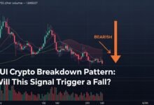 SUI Crypto Breakdown Pattern Will This Signal Trigger a Fall