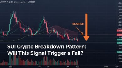 SUI Crypto Breakdown Pattern Will This Signal Trigger a Fall